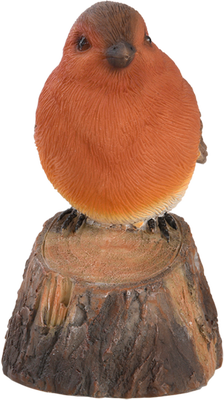 Pajaro de Bienvenida Cantarin