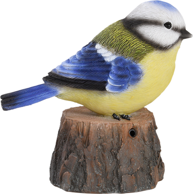 Pajaro de Bienvenida Cantarin