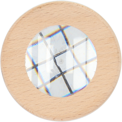 Caja de Estudio de Insectos Madera