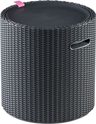 Mesa Nevera Jardin Keter Cool Stool