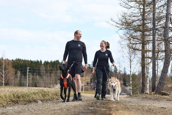 Arnes perros Non-stop Line harness 5.0 azul