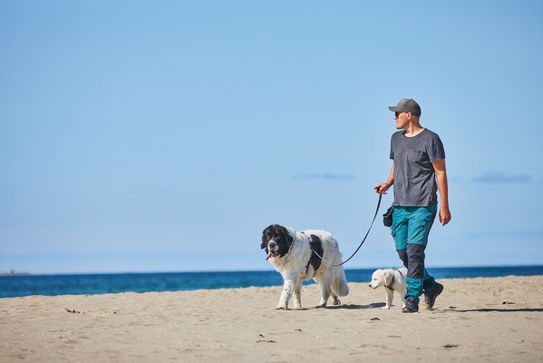 Correa Perros Move Leash Negro Talla 1.5m/15mm