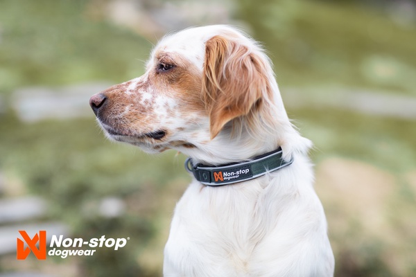 Collar Perro Roam collar negro talla XS