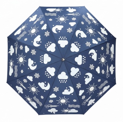 Paraguas Transparente Tiempo Cambia Color