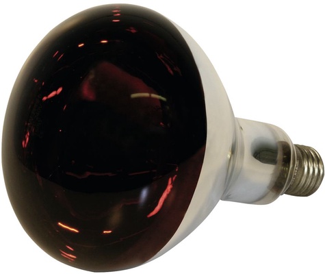 Bombilla Calor Infrarroja 250 W