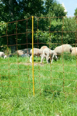 Malla Electrificada 108 cm TopLine Net 50 Metros Puntera Doble