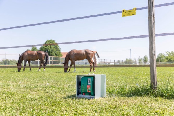 Pastor Electrico Ako AN 4000 de 12 V