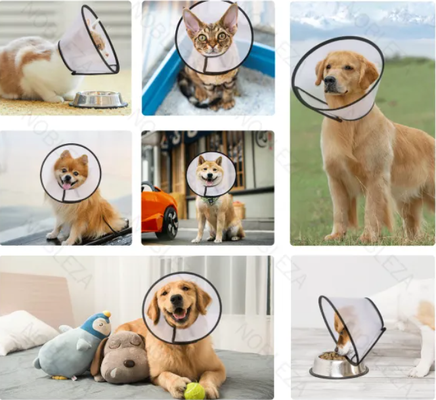 Collar Protector Isabelino L