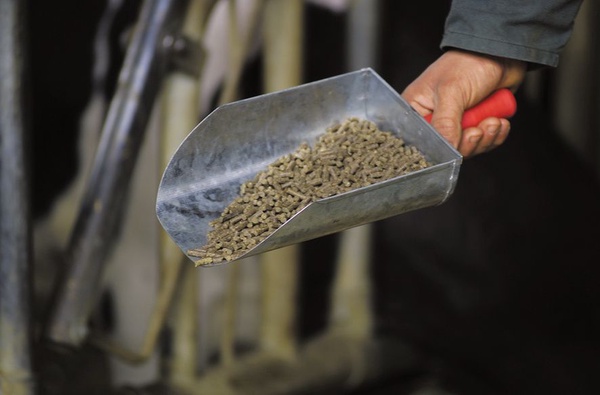 Pala Galvanizada 1,5L