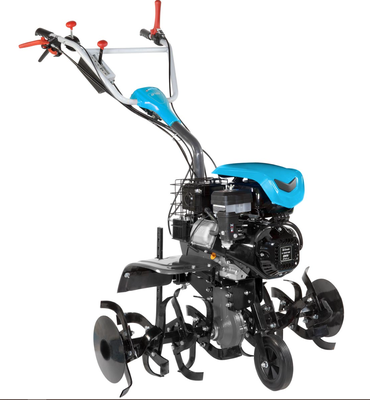 Motoazada Bertolini 218