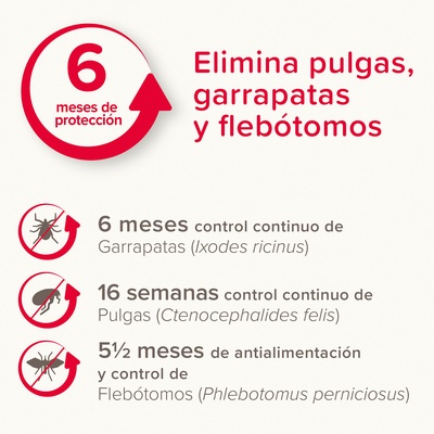 Beaphar Canishield Collar Antiparasitario Perro Grande - 65cm