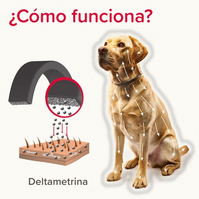 Pack 2 Unidades Canishield Collar Antiparasitario Perro Peque�o y Mediano - 48 cm