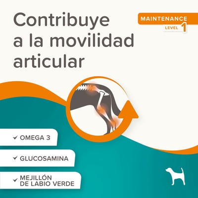 Flexfit Sticks Articulares Perros 175g