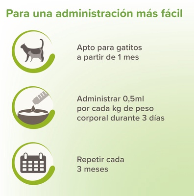 Beaphar VERMIpure Solucion Liquida Gatos y Gatitos 50ml