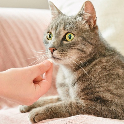 Beaphar VERMIpure 50 Comprimidos Gatos y Gatitos