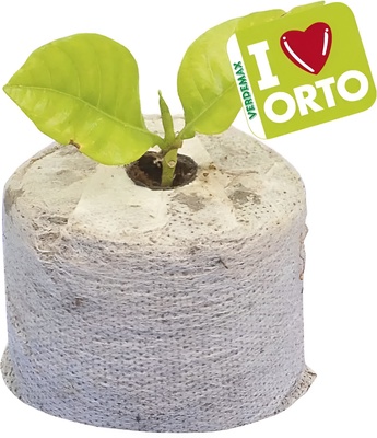 Pack 12 Semillero de fibra de coco con Tela � mm 45 xh 15