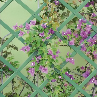 Celosia Extensible PVC Verde 1 x 3 Metros