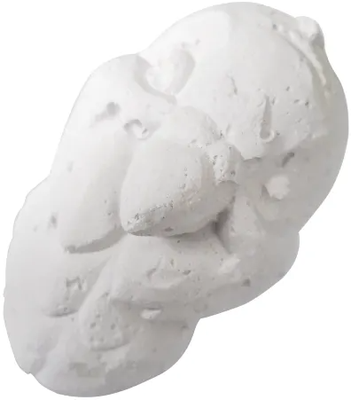 Bloque de Calcio para Loros