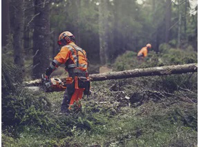 Motosierra de Gasolina Husqvarna 564 XP