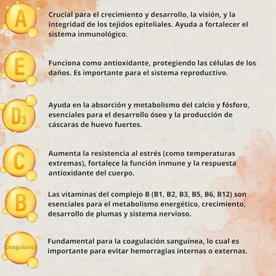 Multivitaminico Aves Boostcare 250 ml