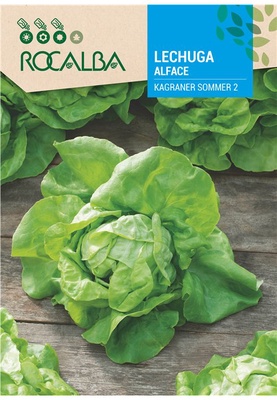 Semilla Lechuga Kagraner Sommer 2