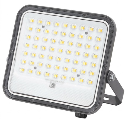 Foco Led Solar 100w con Panel Solar